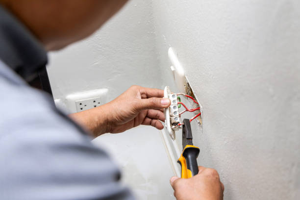 Best Electric Panel Repair  in Brownfields, LA